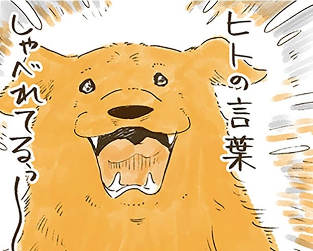 夢の中で会話が実現？レトリバーがおばあちゃんに届けたかった想いとは