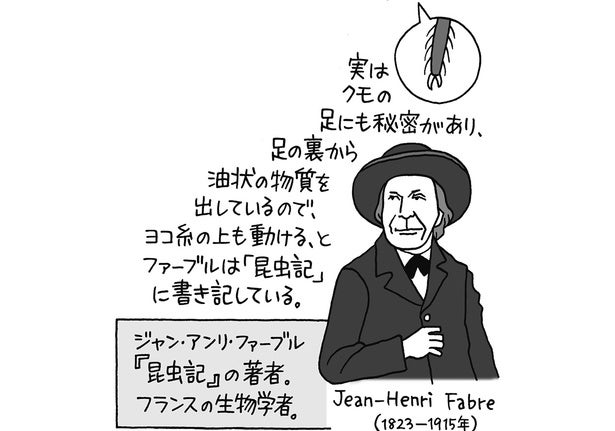 クモ自身はなぜ平気でクモの巣の上を移動できる？／雑学うんちく図鑑（13）