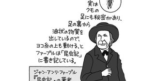 クモ自身はなぜ平気でクモの巣の上を移動できる？／雑学うんちく図鑑（13）