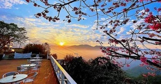 雨季前の近場の海外旅行はいかがシーズンを迎える古都・台南の街歩きや春茶の阿里山
