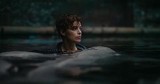 フランス発のサメ映画「セーヌ川の水面の下に」が続編製作