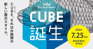 【兵庫県豊岡市】城崎マリンワールドの魚類展示エリアに20個のキューブ型水槽が出現！「CUBE」誕生