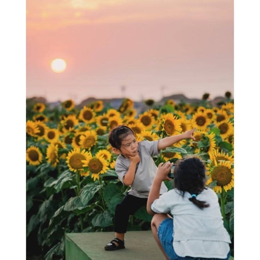 映え～！10万本のひまわりで子どもと写真を撮りたい夏。絶景に恐竜、生き物体験も。1日たっぷり遊べる横須賀の夏イベント