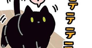 呼ぶと必ず来てくれる。あまりにも犬っぽい黒猫ろん