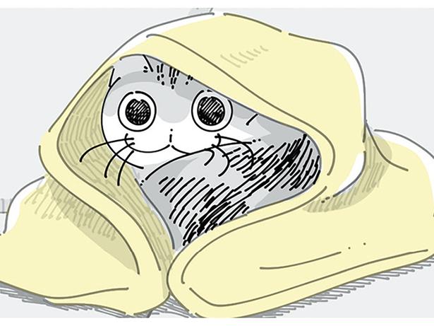 ふとんをかけるとどいちゃう。寒そうにしているネコへの気遣いは無用？