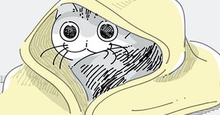 ふとんをかけるとどいちゃう。寒そうにしているネコへの気遣いは無用？