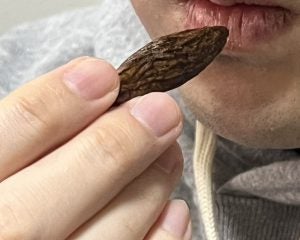 「ほぼドラッグ」在日中国人留学生の間で出回る“木の実”の正体とは？密売人に接触して見えた実態