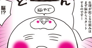 体の中では劇的な変化が！心と生理の深い関係【生理前モンスターだった私が産婦人科医に聞く PMS・PMDD攻略法 Vol.3】