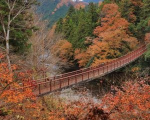 夏ではなく、あえて秋に開催…「季節外れの花火大会」が人気を集める意外なワケ