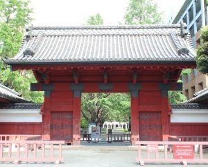 東大生が「商社・コンサル」に殺到する本当の理由。「別に仕事内容には興味ない」現役生が明かす就活のホンネ