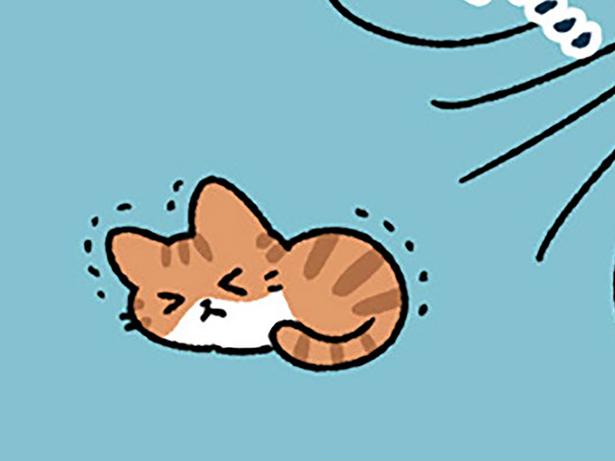 【北風と太陽とねこ】「全然ダメじゃないか」北風を笑うが、太陽もうまくいかず？
