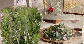 【実録】Oisixで「1人分約470円のサラダ」を作ってみた結果…スーパーなら「約550円」だけど、実際“継続する価値”はある？ 家族からは「高い味がする」「ドレッシングがおいしい」と好評