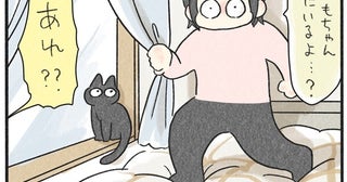 猫は特殊能力を持っている？瞬間移動で飼い主を驚かせる日常に共感の声多数！【作者に聞く】