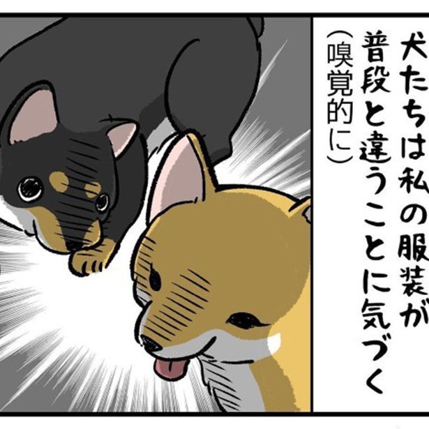 ロングスカート好きは要注意！「神アイテム」のはずのロングスカートで悲劇続出！愛犬との暮らしあるあるに失笑【作者に聞く】