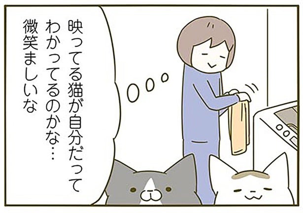 映っているのが自分だって分かってる？ 我が家の猫たちが鏡を見るのが好きな理由