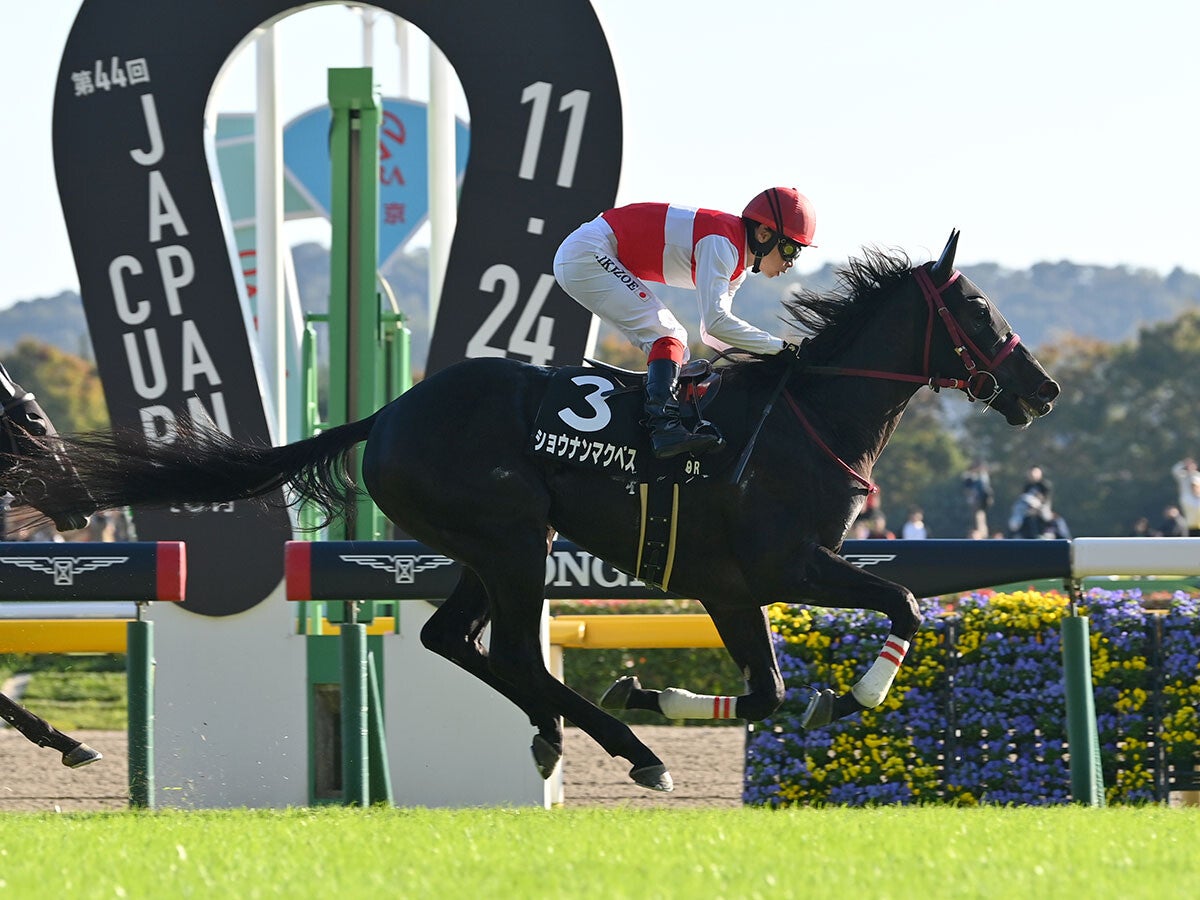 【競馬血統予想】ホープフルＳは有馬記念馬レガレイラも制した「出世レース」注目すべき血は？