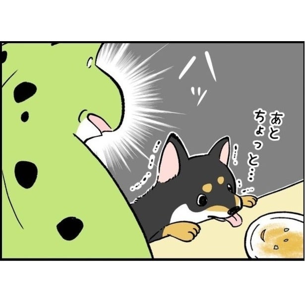 「絶対に間違うわけない!!」…とかつての私は思っていた！息子と犬の名前の混同に「さすがにそれはないでしょ」【作者に聞く】