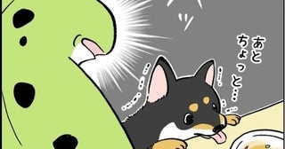 「絶対に間違うわけない!!」…とかつての私は思っていた！息子と犬の名前の混同に「さすがにそれはないでしょ」【作者に聞く】