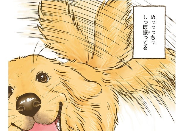 一応吠えるけどしっぽフリフリ。ゴールデンレトリバーの人懐っこさは神