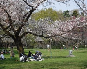 “地域のこども会”のピクニックに参加した息子が食中毒に…「ありえない親の行動」に怒り心頭