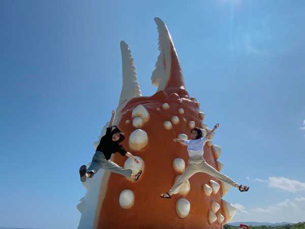 ANA、シンガポール・タイ・香港・フィリピン発紋別行きで特別運賃東京でのストップオーバー可