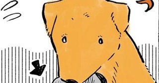 草履をくわえてスタンバイ！おばあちゃんとのお散歩が大好きなレトリバー