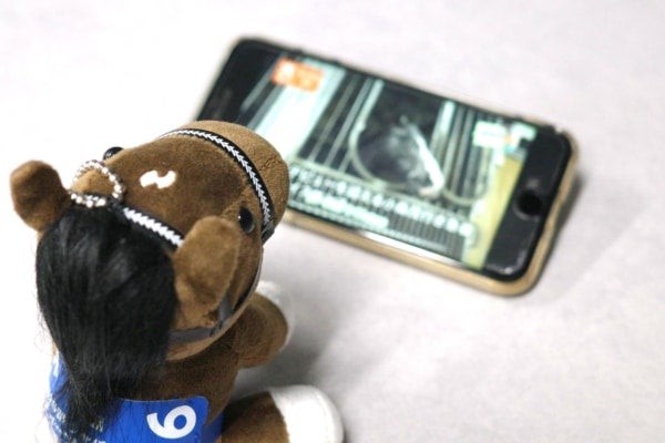 おうちでも“ウマ活”できちゃう!?おすすめ動画コンテンツ3選