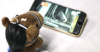 おうちでも“ウマ活”できちゃう!?おすすめ動画コンテンツ3選