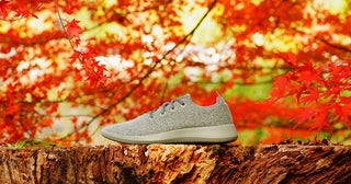 【愛知県】快適なシューズを展開する「Allbirds」が名古屋初上陸！名古屋ラシックでPOP UP開催