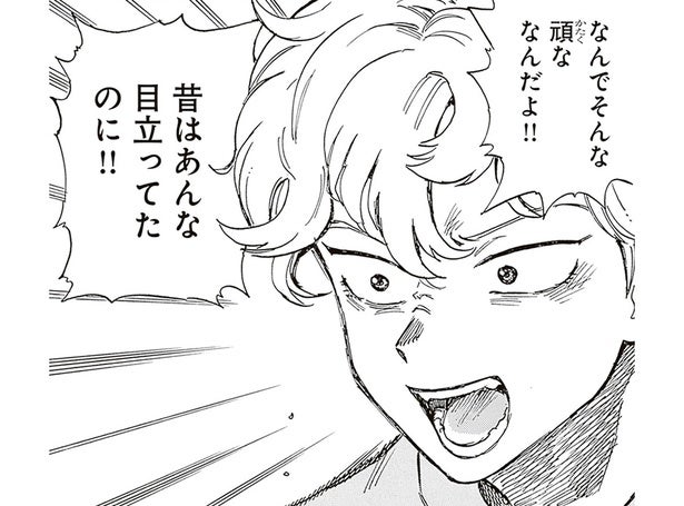 昔はあんなに目立ってたのに！ 頑なに目立つのを拒否する兄、一体なぜ？／されどふたご3（4）