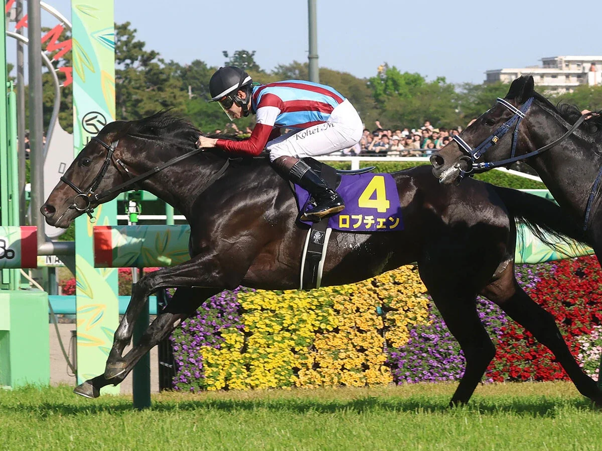 【競馬予想】日本ダービーの本命・ロブチェンの信頼度を血統で分析