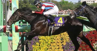 【競馬予想】日本ダービーの本命・ロブチェンの信頼度を血統で分析