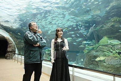 SKE48 鎌田菜月が初の児童書を発売水族館がもっと好きになる一冊