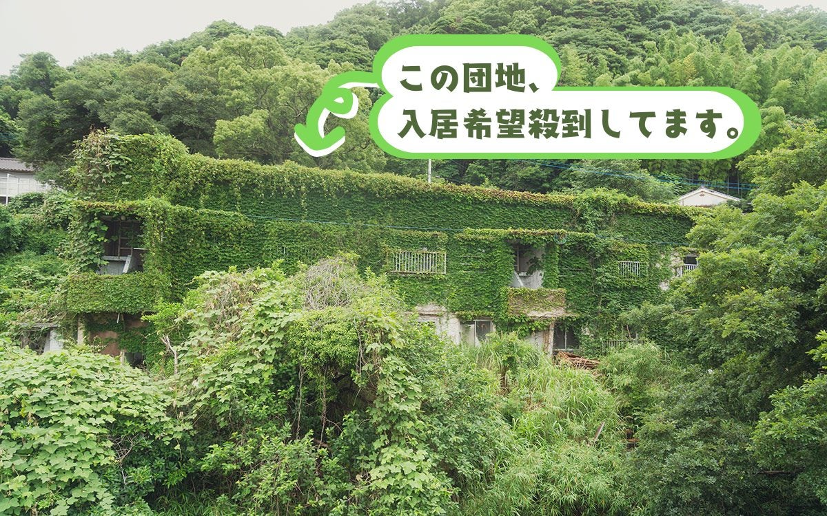 【築74年・家賃1万円の団地】占い師・探偵・ブックカフェ店主…大家負担でDIYし放題、部屋も住人もクセが強すぎる！ 福岡「門司港1950団地」渋沢プロジェクト