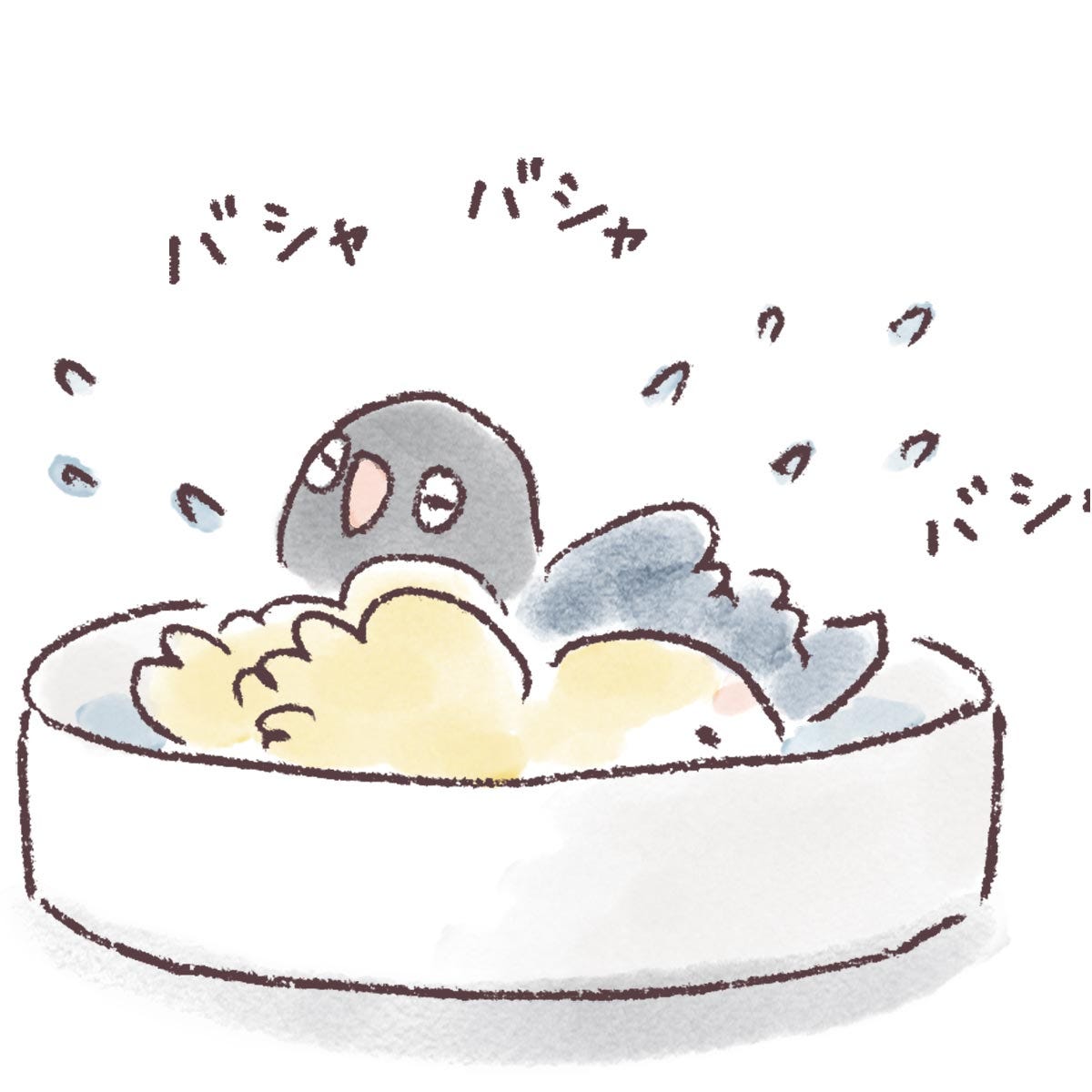 週1回のお風呂タイム。入り方にもそれぞれの性格がでるようで…？／うちのインコたちは今日もおしゃべり（22）