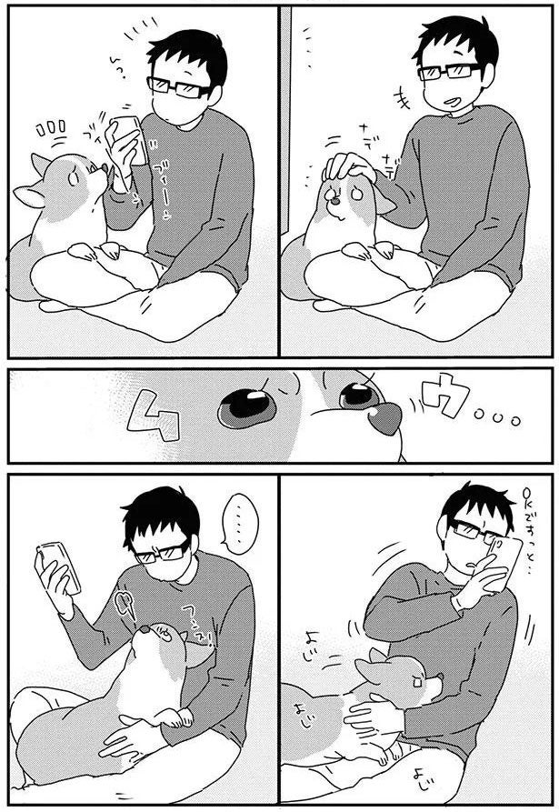 「ナデナデして」気づけばマッサージチェアと化した飼い主