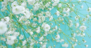 今日の運勢は？ ★12月3日（水）12星座占いランキング！ 第1位は双子座（ふたご座）！ あなたの順位は何位…!?