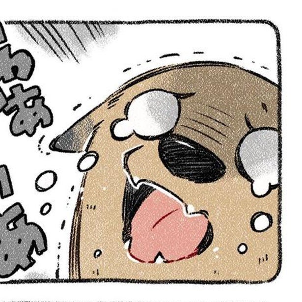 血まみれの捕獲現場は「ホラー映画かっ!!」凶暴だった放浪犬は、実はチョロかった！人間に甘えまくる様にホッコリ【作者に聞く】