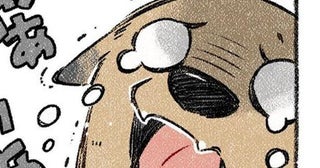 血まみれの捕獲現場は「ホラー映画かっ!!」凶暴だった放浪犬は、実はチョロかった！人間に甘えまくる様にホッコリ【作者に聞く】