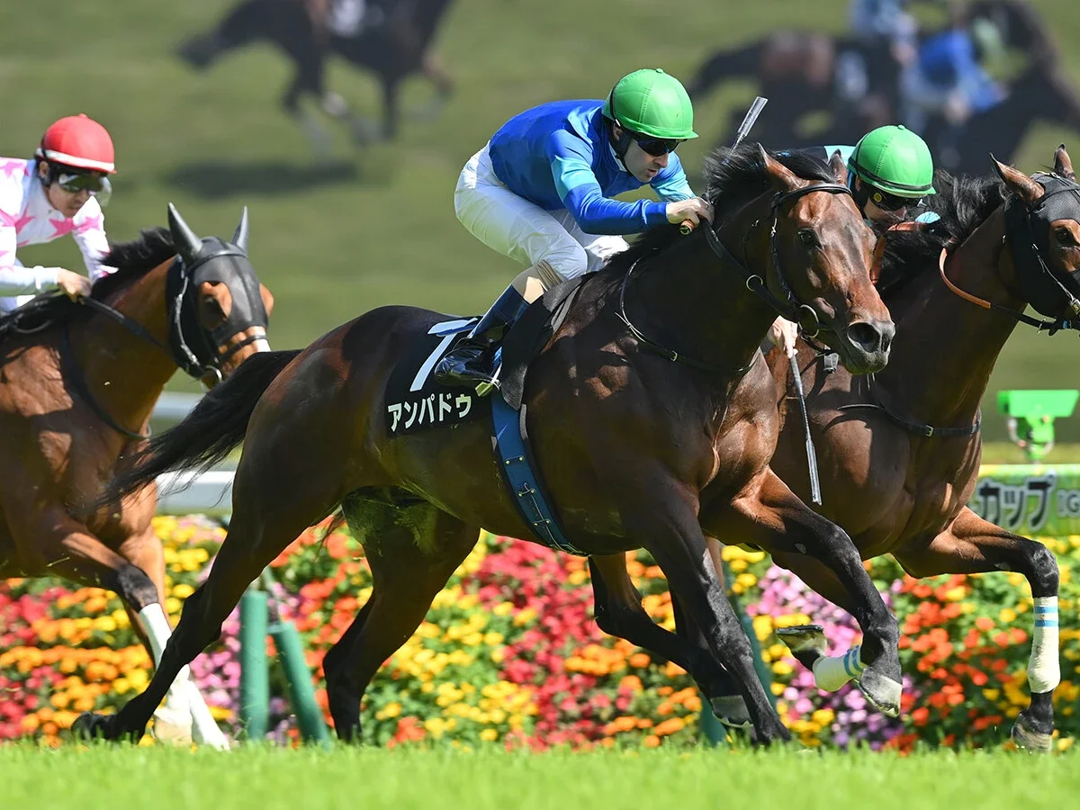 【競馬予想】ハンデ戦となった関屋記念は波乱含み激走ムード漂うのは「勢いのある上がり馬」