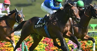 【競馬予想】ハンデ戦となった関屋記念は波乱含み激走ムード漂うのは「勢いのある上がり馬」