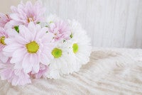 急逝した26歳YouTuberが参加3月末始動の3人組グループ、今後についてコメント