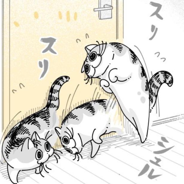 【ネコ漫画】部屋に入りたくてドアにスリスリする愛猫!?その姿に「この現象とってもわかる」など共感コメント続出