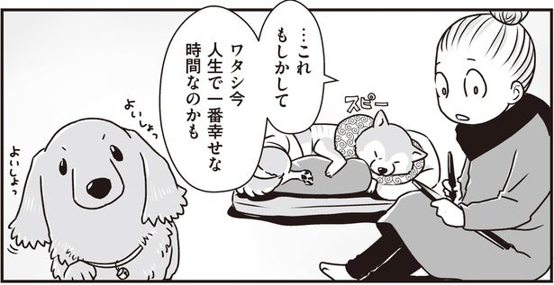 シニア犬たちがゆるりと過ごす昼間のリビング。人生で一番幸せな時間かもしれない