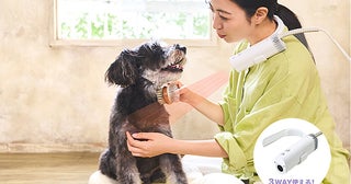 両手が使えて安心ドライ！3WAYスタイルの犬猫用ドライヤー「HUG AIR」先行発売中