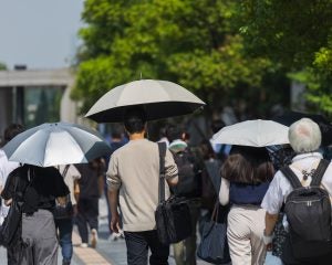 なぜワイドショーは「酷暑」を連呼する？ 山口真由が明かす、テレビが天気ネタを使い倒す“裏の構造”