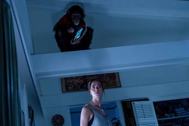 人気声優の上田麗奈＆諏訪部順一が特別に参加！『おさるのベン』衝撃のテレビCM映像＆新規場面写真