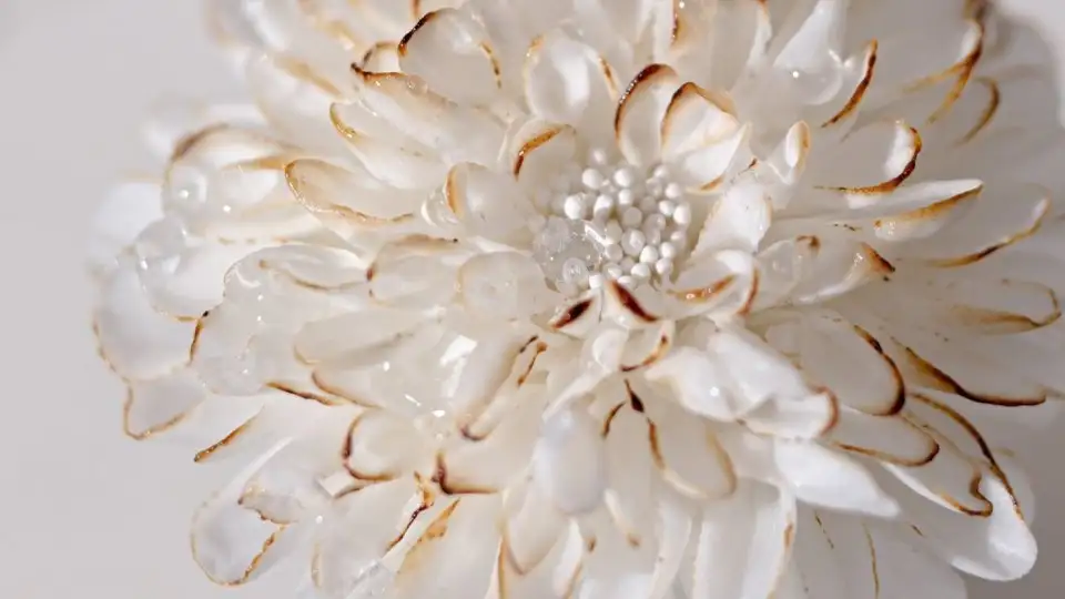 キレイなお花にしか見えないけれど...衝撃の〝正体〟に2.4万人驚がく「絶対気付かない...」