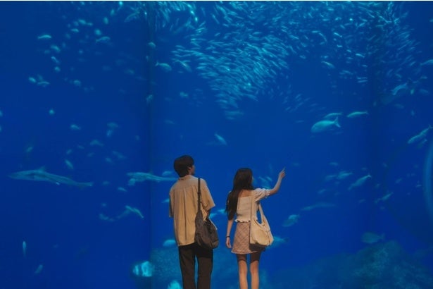 赤楚衛二“大河”、アクシデント続きの初デートの中、カン・へウォン“リン”に一世一代の愛の告白＜キンパとおにぎり＞