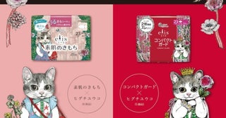 「エリス×ヒグチユウコ コラボデザイン」生理用ナプキンが数量限定で発売